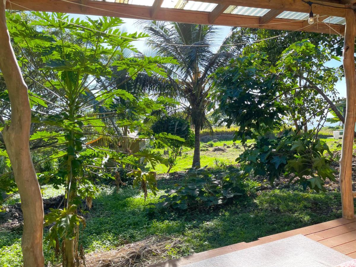 Apartmán Gingerhill Farm Retreat Kealakekua Exteriér fotografie
