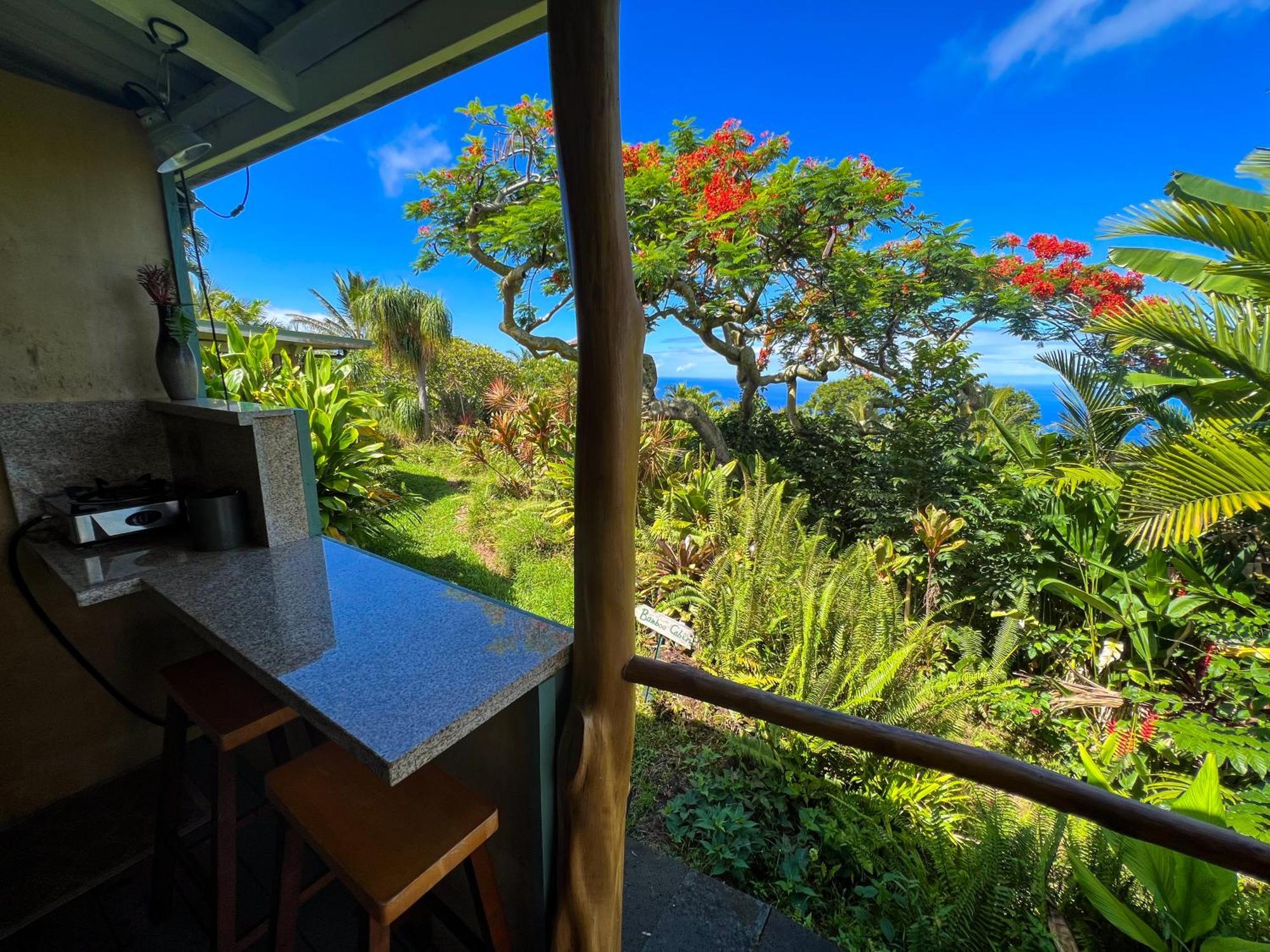 Apartmán Gingerhill Farm Retreat Kealakekua Exteriér fotografie
