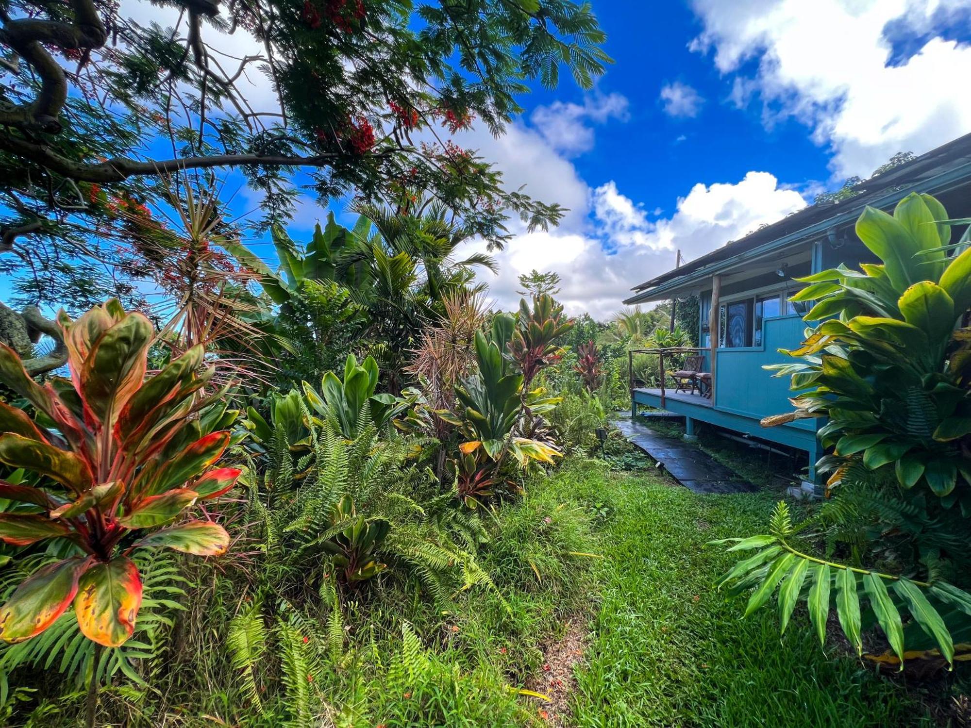 Apartmán Gingerhill Farm Retreat Kealakekua Exteriér fotografie
