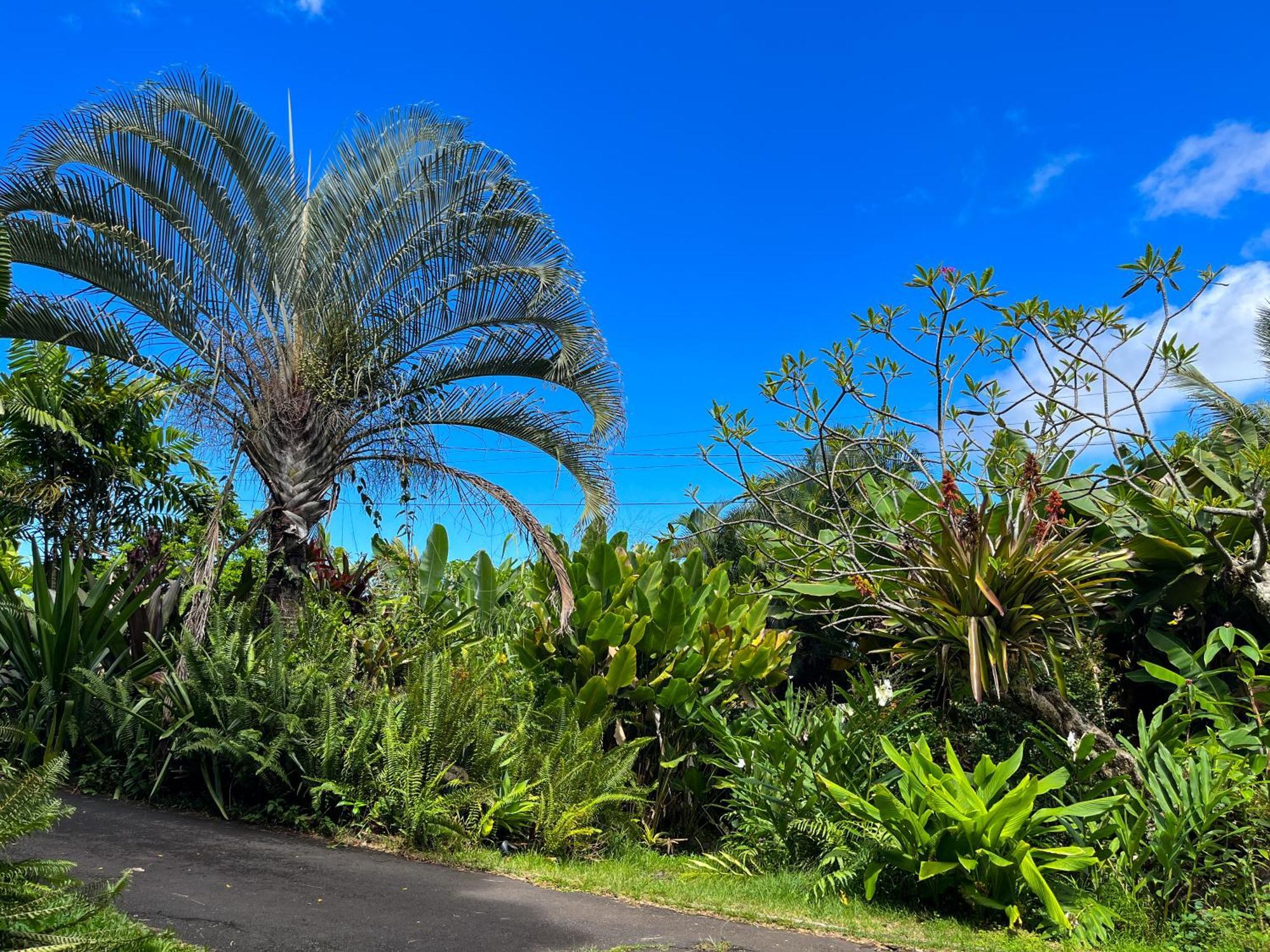 Apartmán Gingerhill Farm Retreat Kealakekua Exteriér fotografie