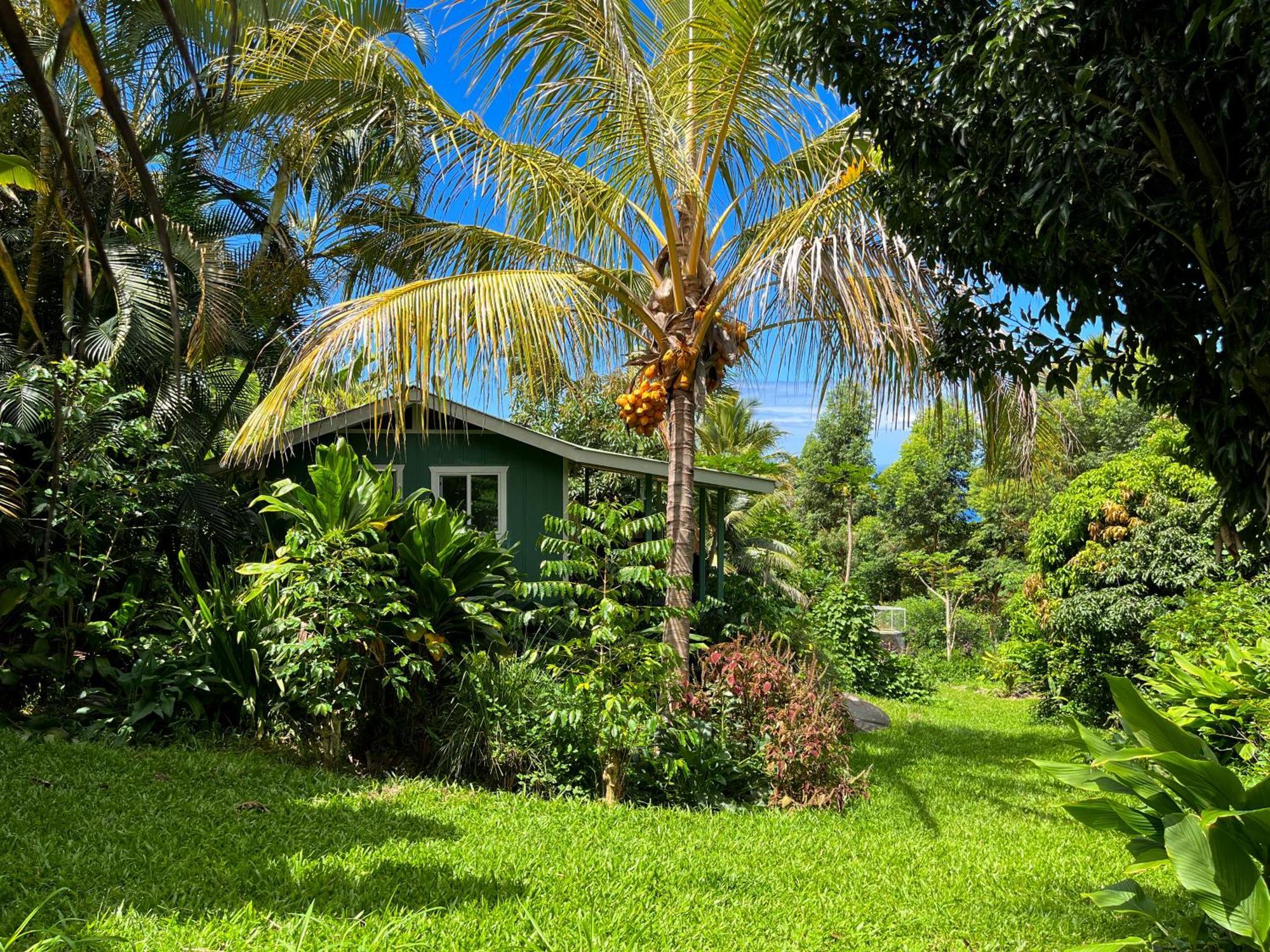 Apartmán Gingerhill Farm Retreat Kealakekua Exteriér fotografie