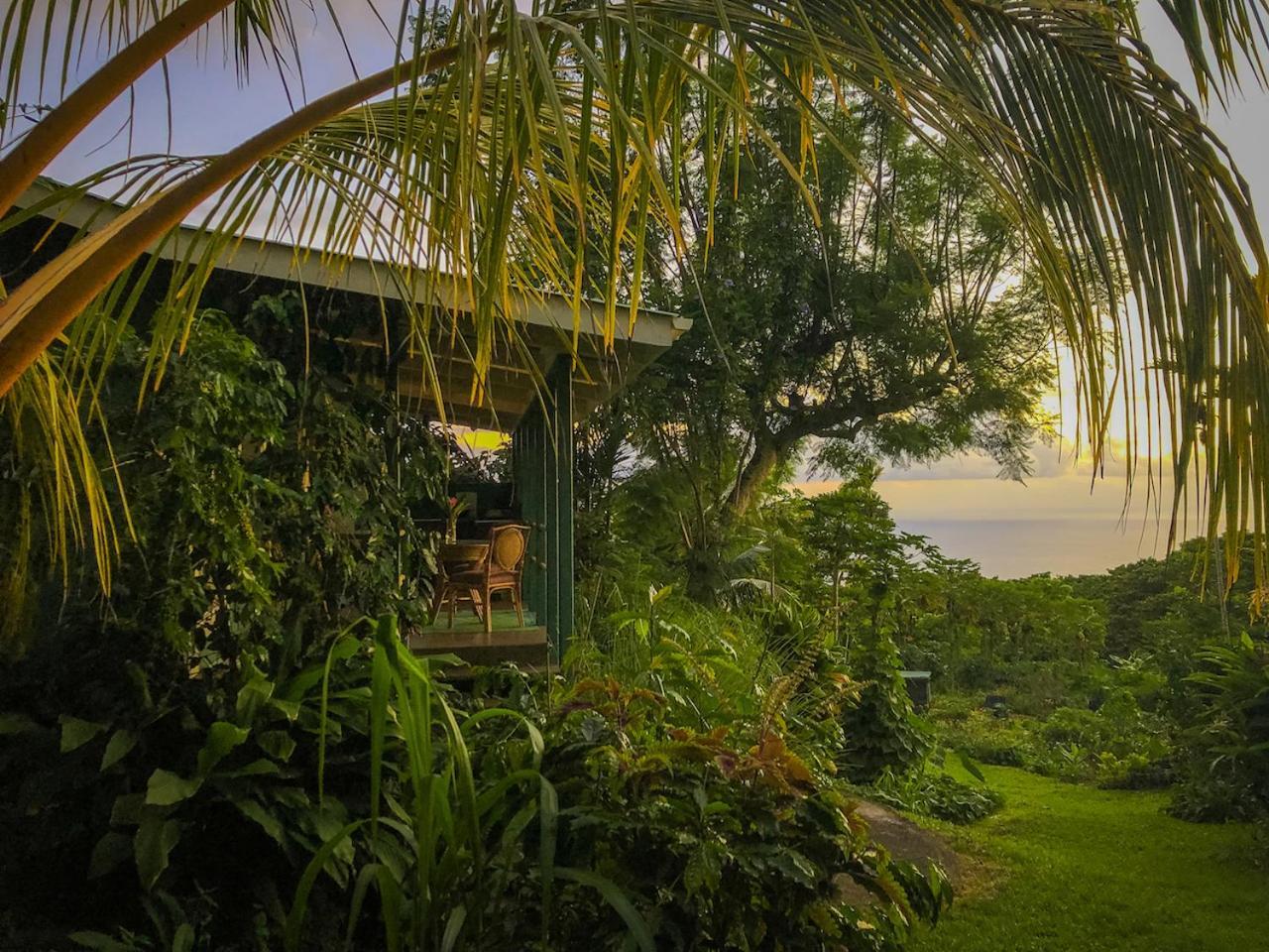 Apartmán Gingerhill Farm Retreat Kealakekua Exteriér fotografie