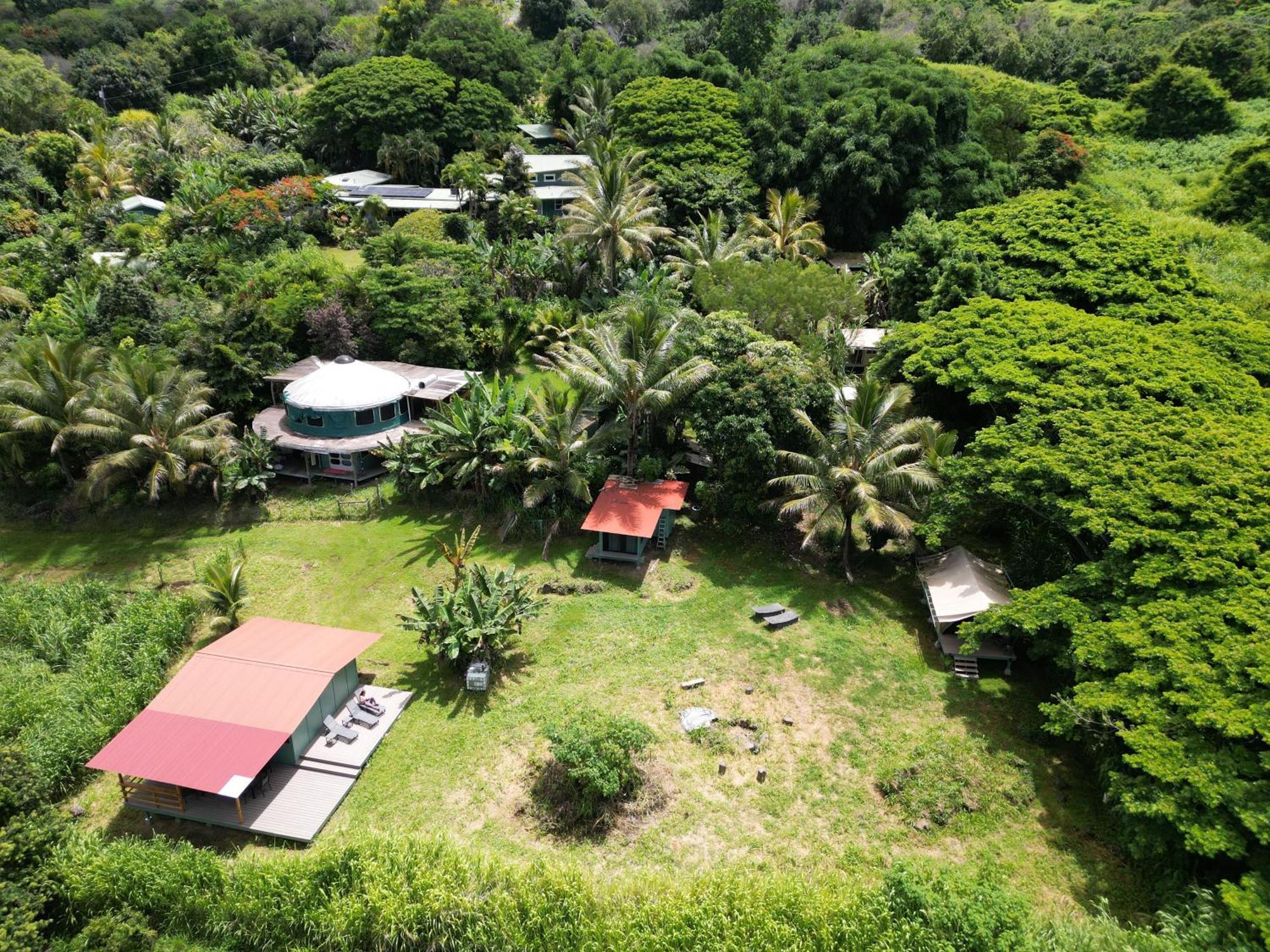 Apartmán Gingerhill Farm Retreat Kealakekua Exteriér fotografie