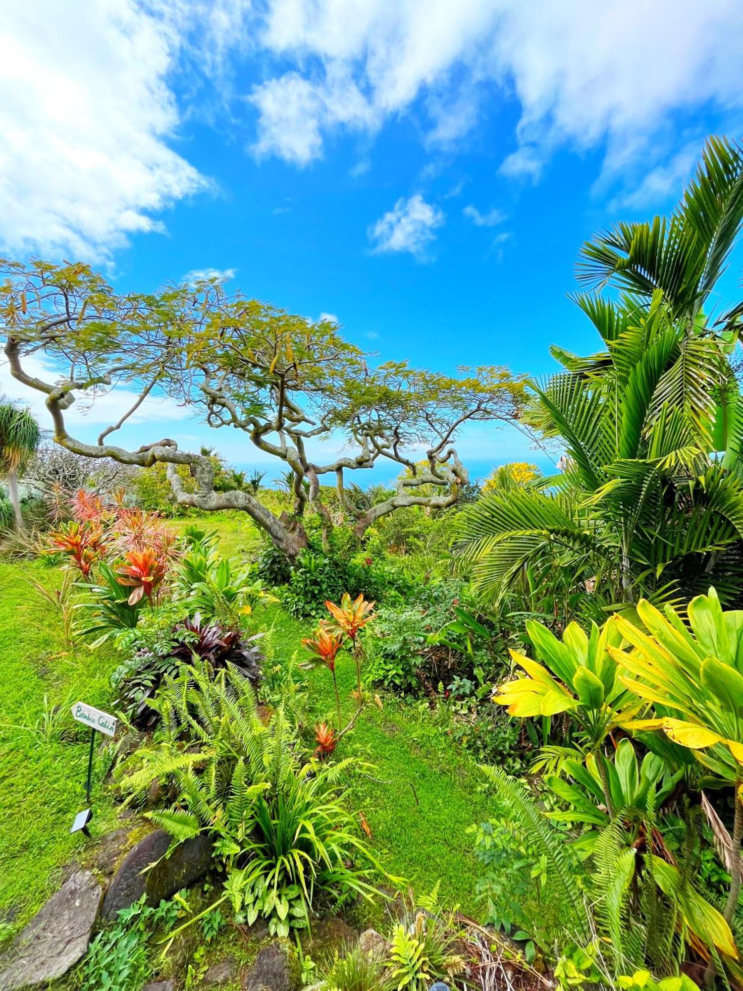 Apartmán Gingerhill Farm Retreat Kealakekua Exteriér fotografie